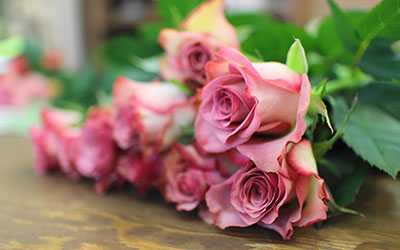 flower shop hyannis ne