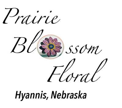 florists hyannis ne